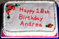 Andrea's 18th Birthday Cake - 2009