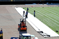 Installing New Turf at Memorial Stadium, 4/17/2012