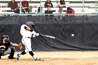 vs Wayland Baptist, 1/31/2014