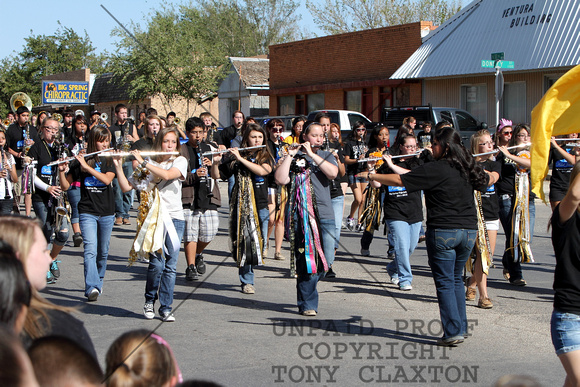 Band Marching