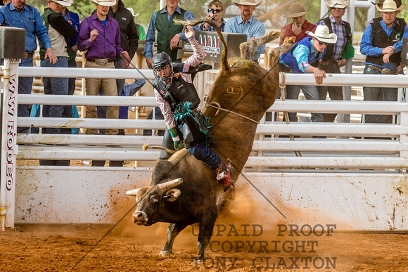 Rhett Kelley - Bull Riding