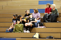 Freshmen and Fans In The Stands