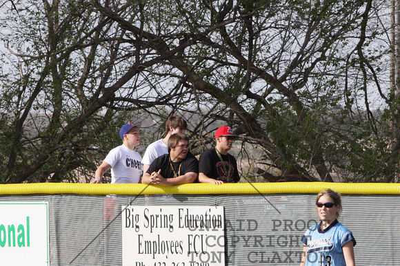 Fans Outside The Outfield Fence