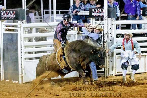 Adam Belcher - Bull Riding