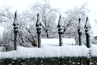 Snow On Wrought Iron Gate