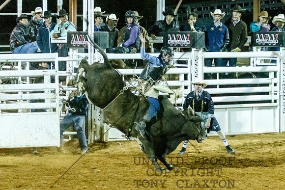 Andy Bohl - Bull Riding