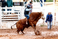 Dalton Kasel - Bull Riding