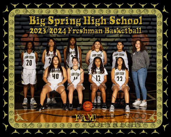 2023/2024 BSHS Freshman Basketball Team - 8x10