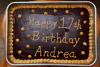 Andrea's 17th Birthday Cake - at the June/July Birthday Party - 2008