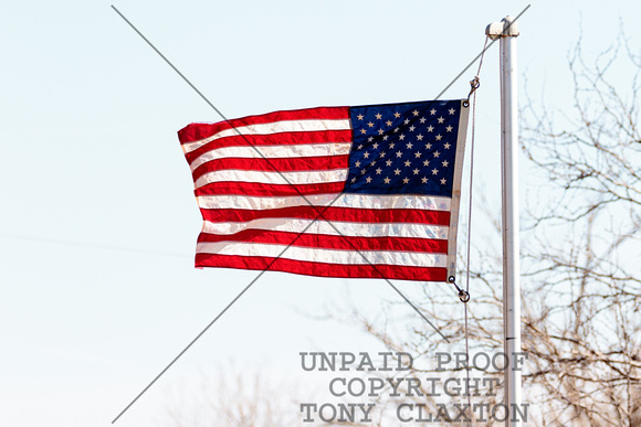 Flag In The Wind