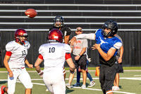 Steer Quarterback Passing