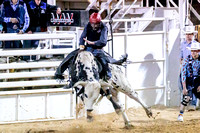 James Cole - Bull Riding