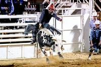 James Cole - Bull Riding