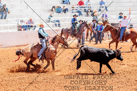 Jeryn Ellerd - Team Roping