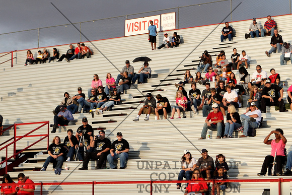 Fans In The Stands