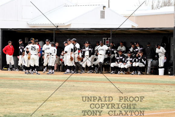 Team Before The Game In The Dugout