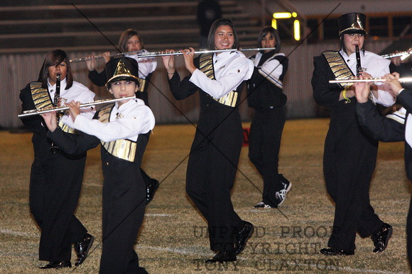 Flutes and Clarinets During Halftime Show