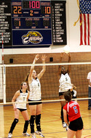 Belle and Desiree Blocking With Cerbi and Baylea Backing Them Up