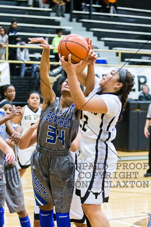 Jackie Castillo Fighting For A Rebound