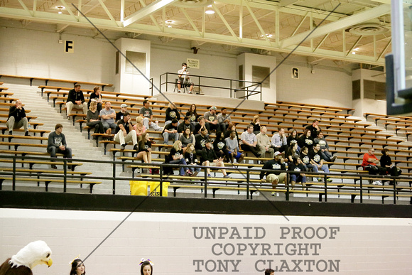 Fans In The Stands