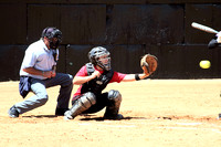 Catcher Catching The Pitch