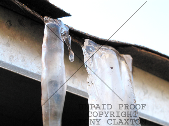 Closeup Of Two Icicles Hanging From A Roof Shingle