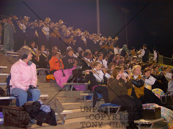 Band Playing In Stand