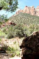 Rock And Mountain At Zion National Park