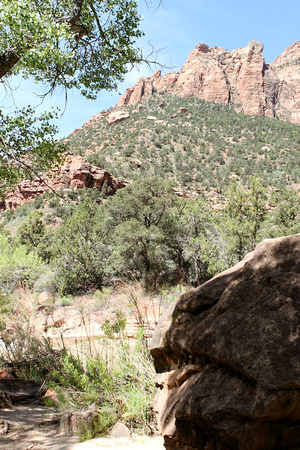 Rock And Mountain At Zion National Park