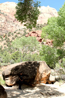 Brenda In Front Of A Rock And Mountain At Zion National Park