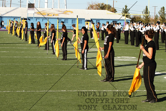 Flag Corps Lined Up On The Field