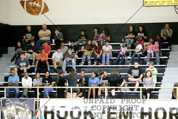 Fans In The Stands