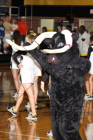 Steer Mascot During Canyon Playoff PepRally