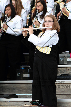 Flute In The Stands