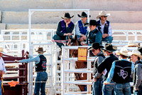 Kale Williams - Team Roping