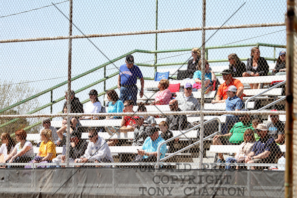 Fans In The Stands